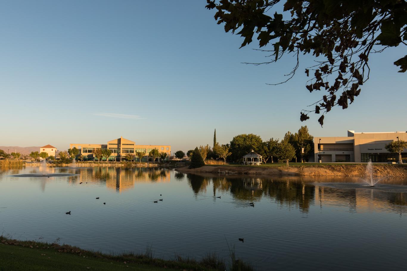 Ducks swimming in lake with VVC campus buildings in the background